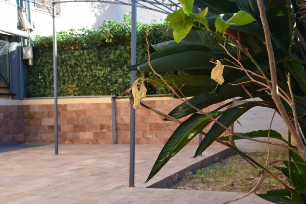Apartamento Casa Di Aida Mesina Exterior foto